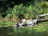 100_5660.jpg
